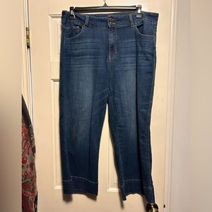 Plus size Jean capris